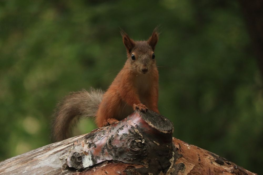 Photograph by Мария Глухова