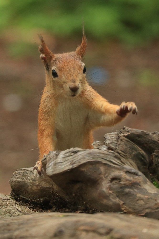 Photograph by Мария Глухова