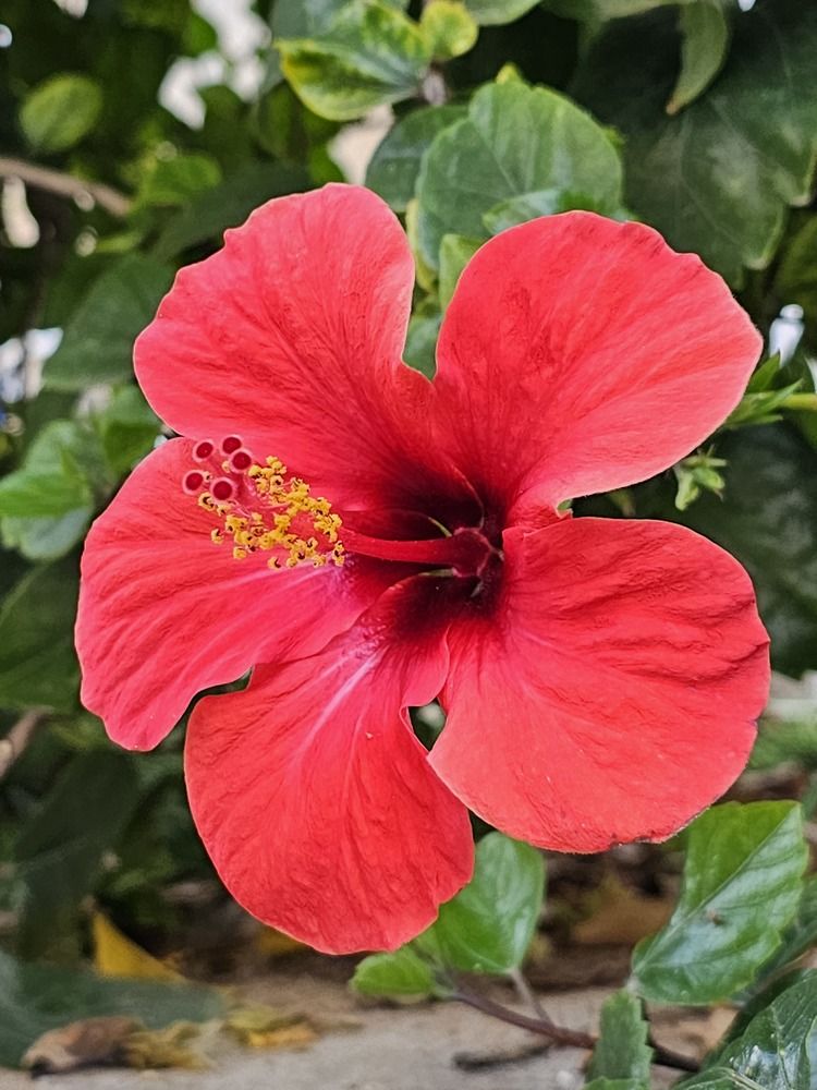 Фотография автора Oksana Podgorodetska