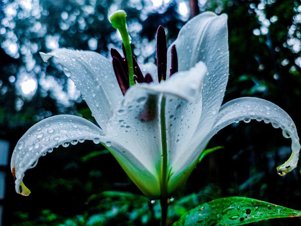 Фотография автора Нина Зинченко