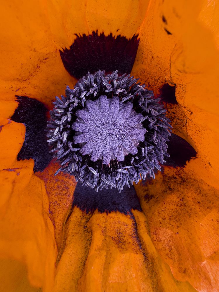 Photograph by Ольга Филатова