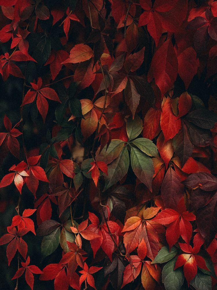 Photograph by Marina En