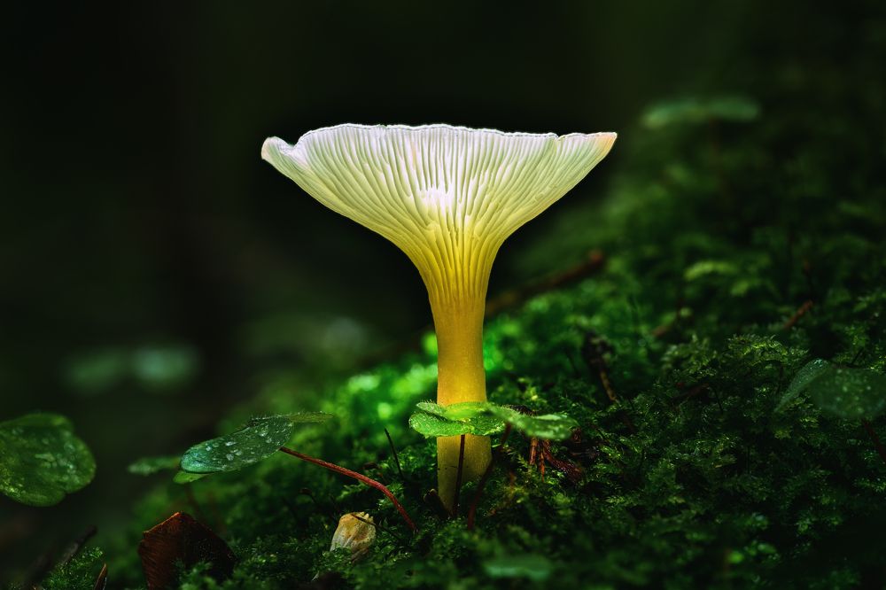 Photograph by Нуждин Андрей