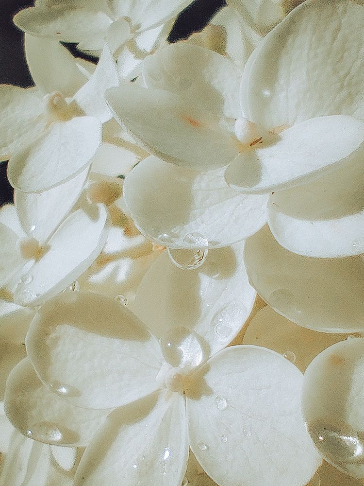 Фотография автора Юлия Гантимурова