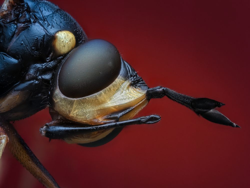 Photograph by Олег Савицкий