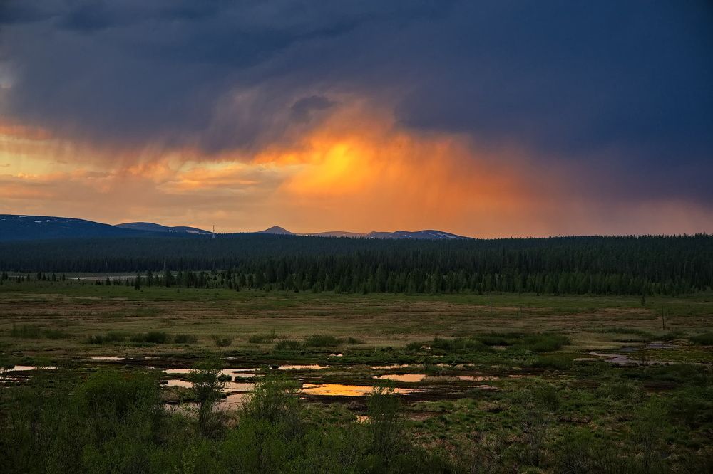 Photograph by Олег Раков