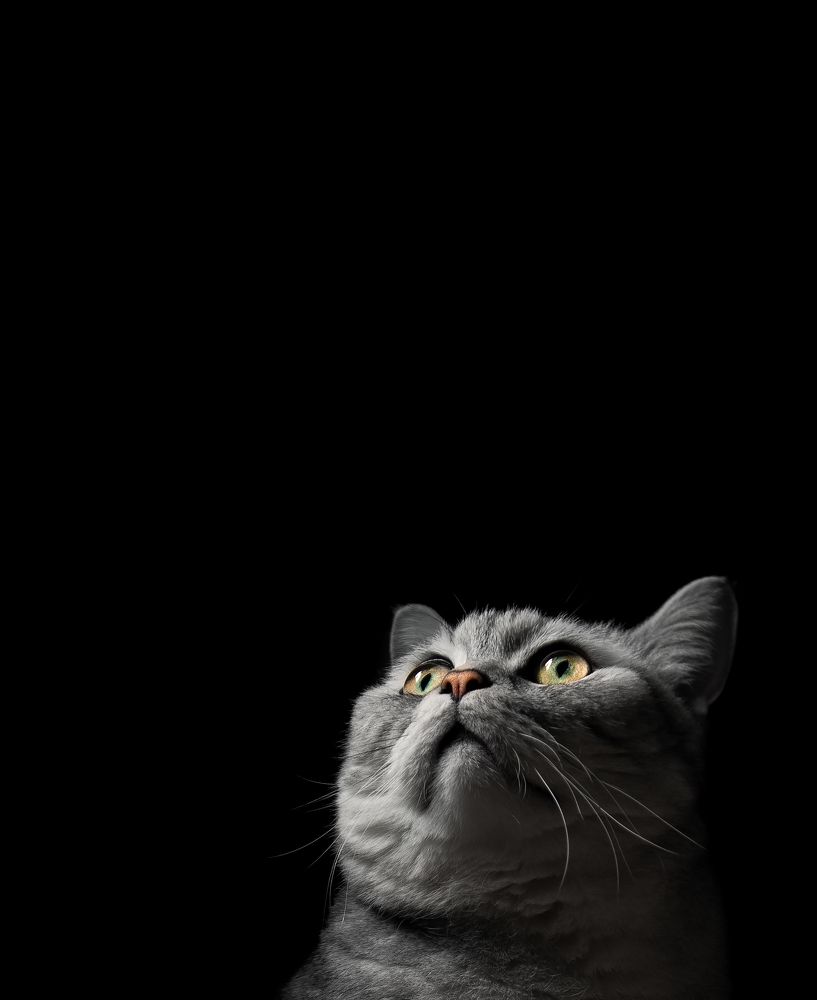 Photograph by Евгений Пятков