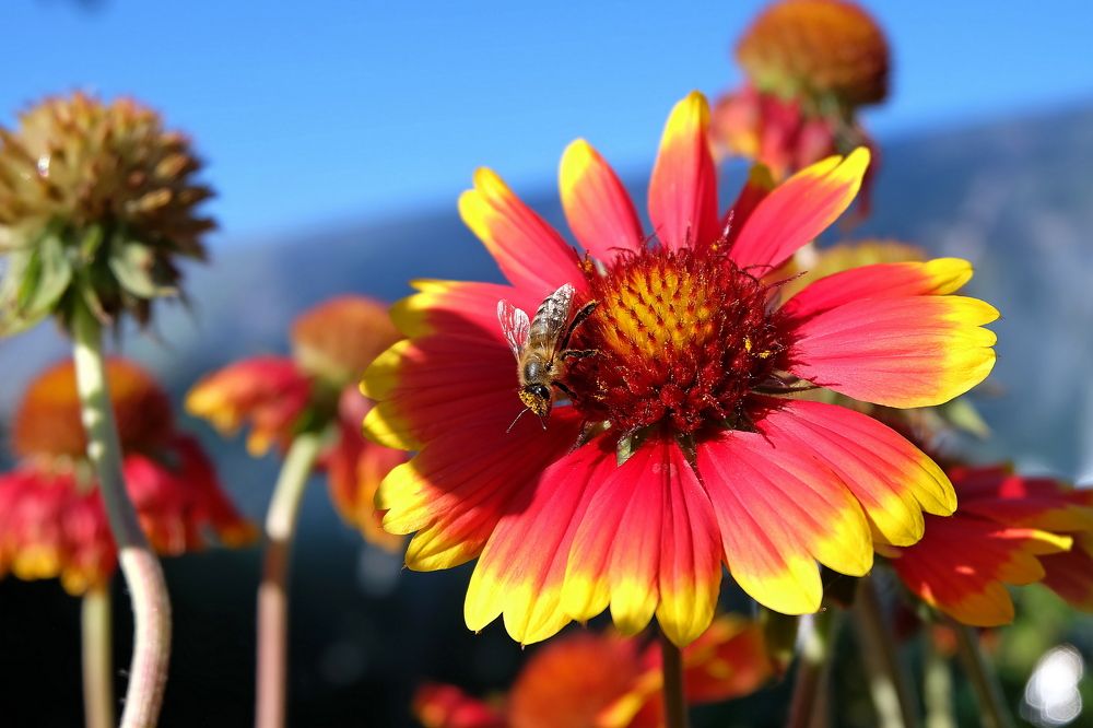 Photograph by Галина Искандарова