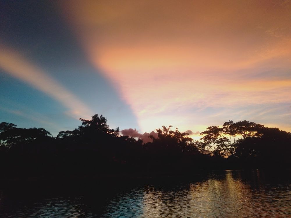 Photo #10895933