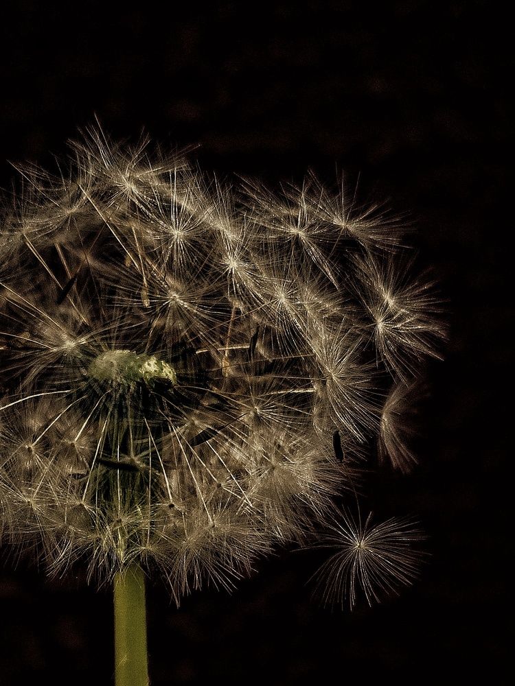 Photograph by Алина