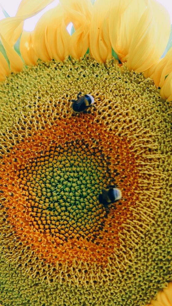 Photograph by Яна Истоцкая