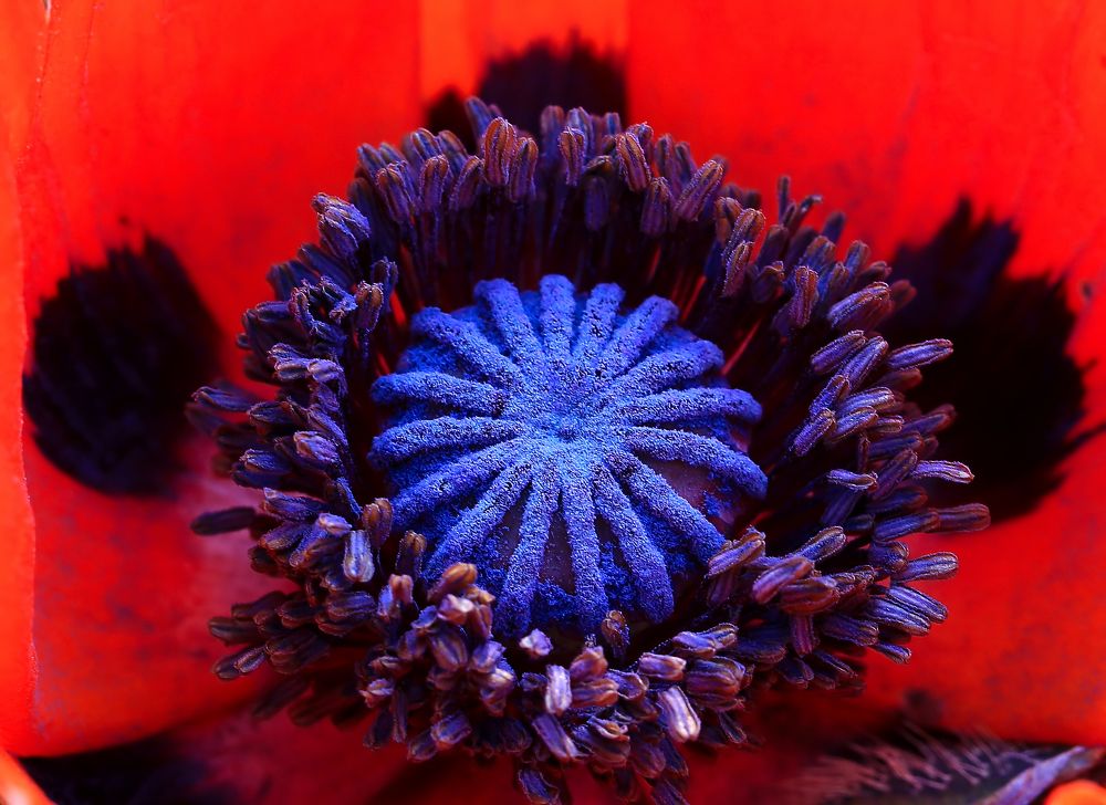 Photograph by Борис Новиков