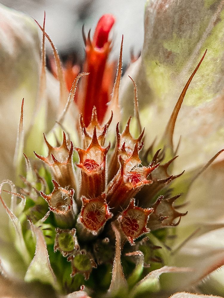 Photograph by Ольга Осинина