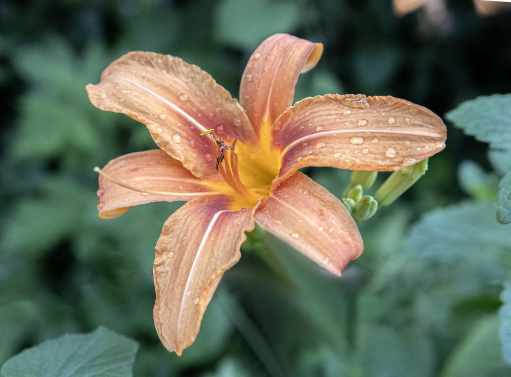 Photograph by Басыров Валерий