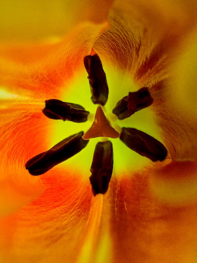 Photograph by Ольга Филатова