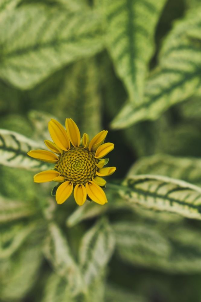 Photograph by Ольга Топорищева