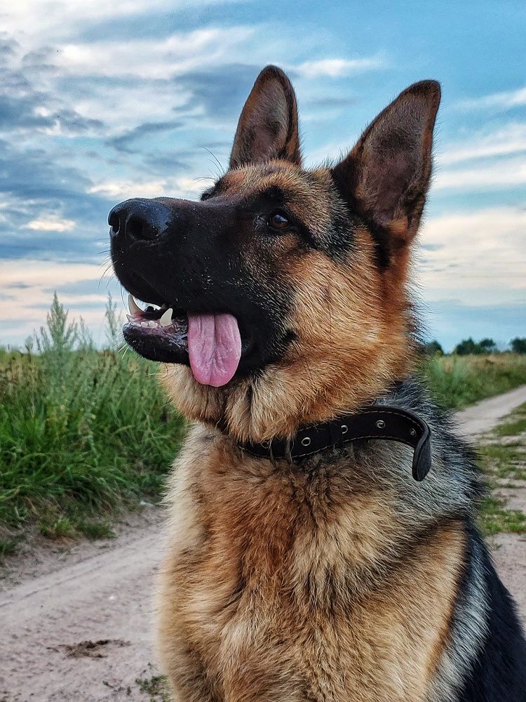 Photograph by Алина