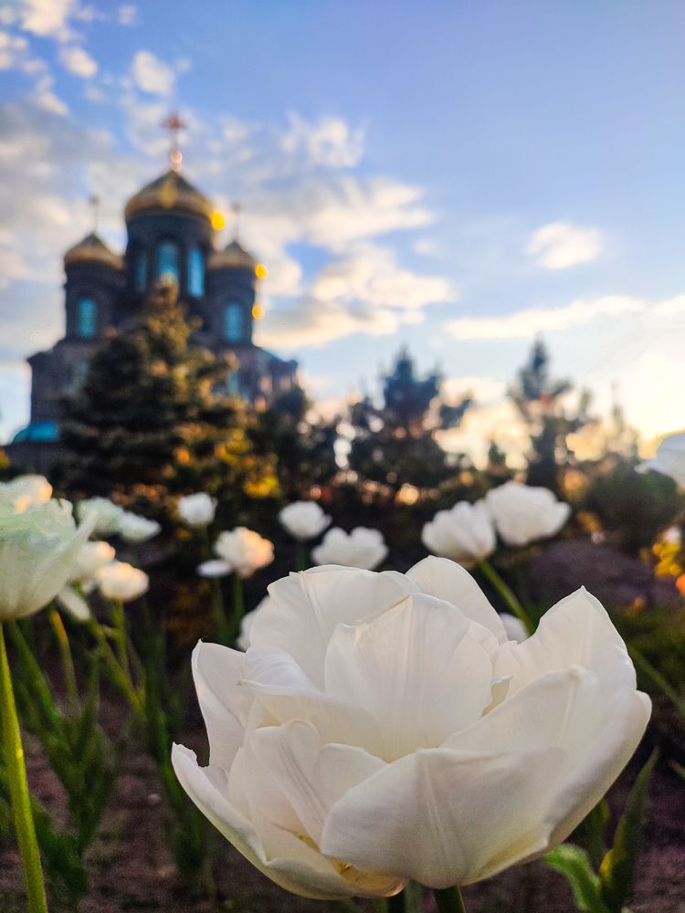 Фотография автора Нина Зинченко