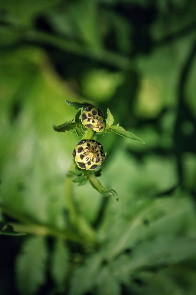 Фотография автора Маргарита Тетёркина