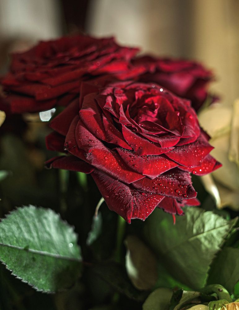 Photograph by Галина Искандарова