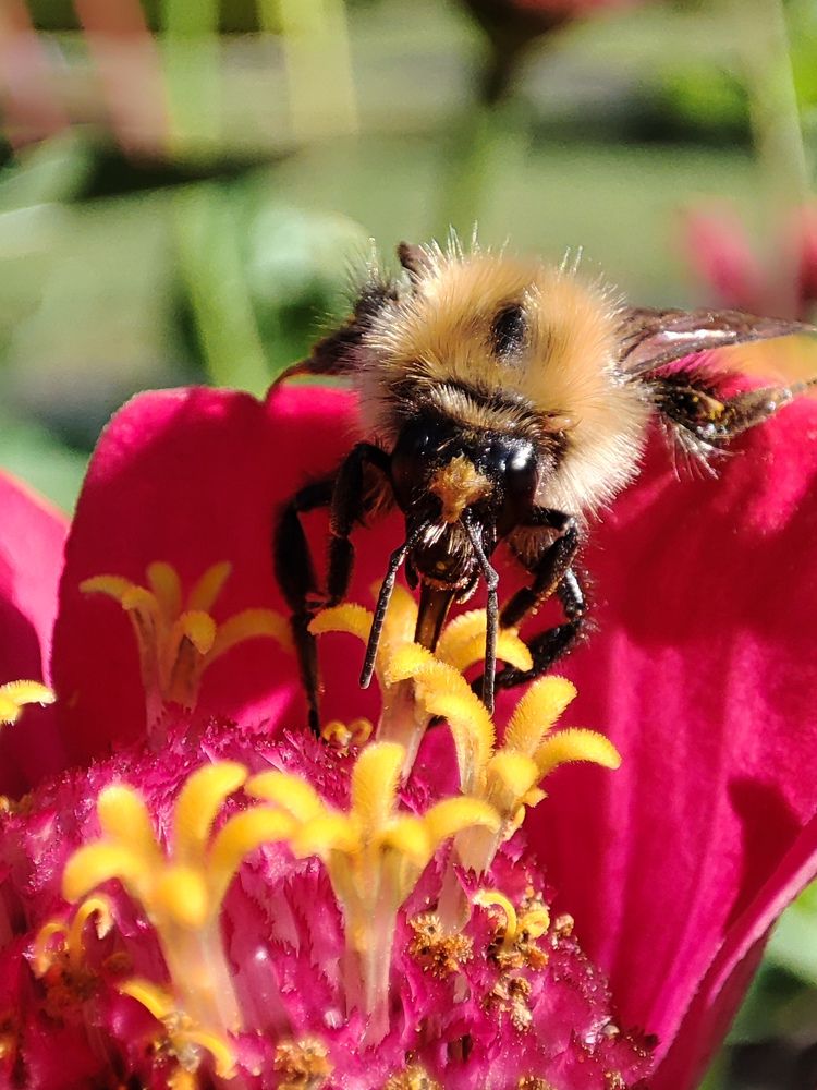 Photograph by Валентина