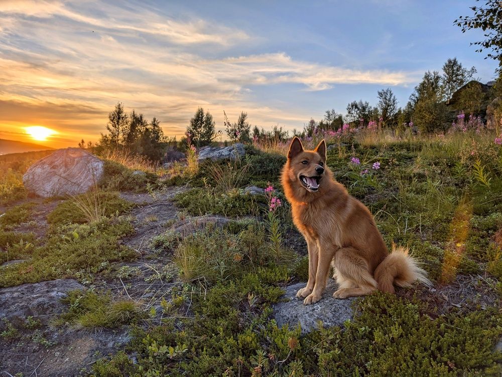 Photograph by Дарья Чистякова