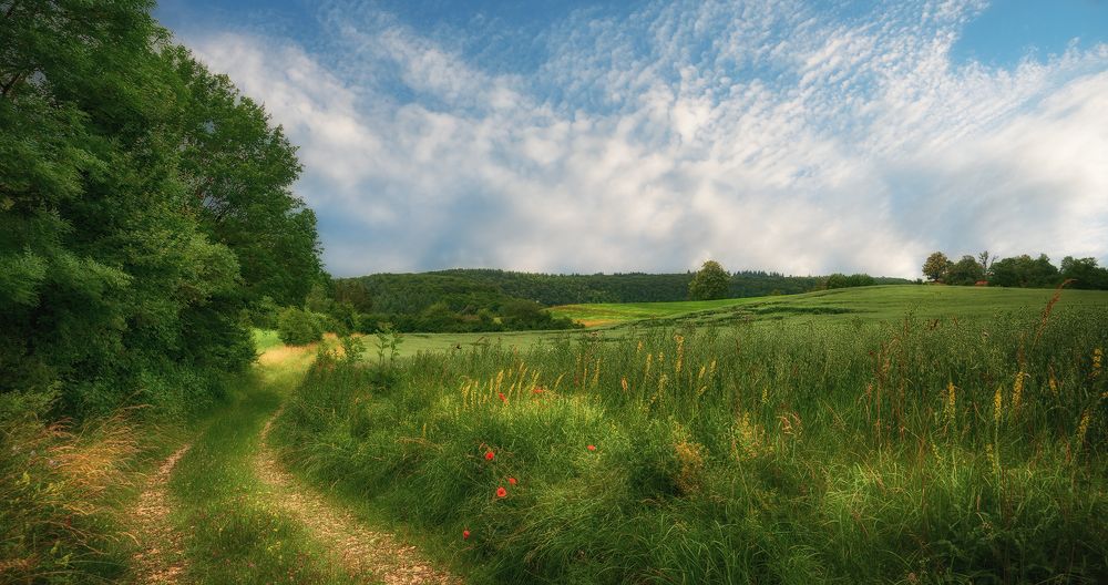 Photograph by Alexandr Zypin