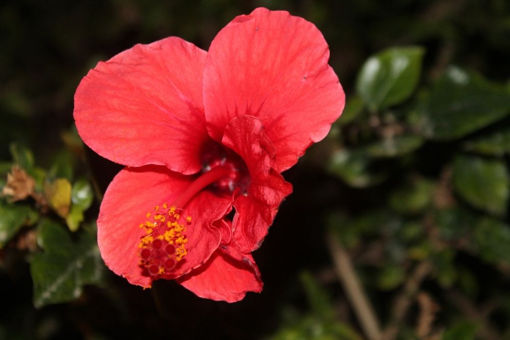 Photograph by Яна Плисова