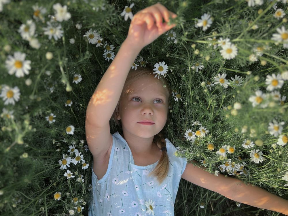 Привет, ромашки.