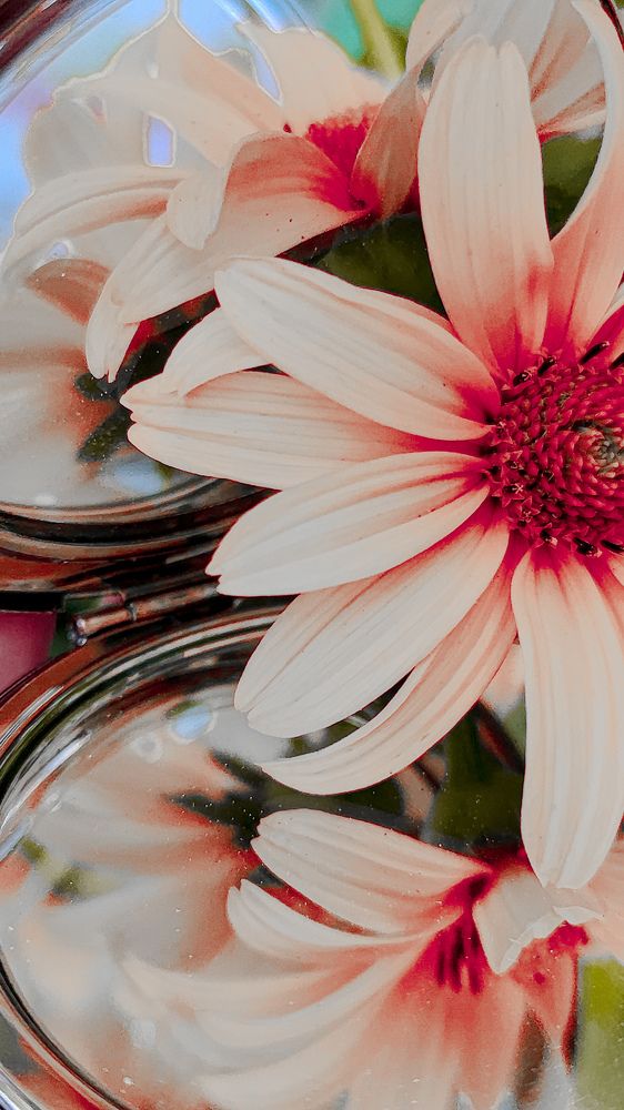 Фотография автора Алиса