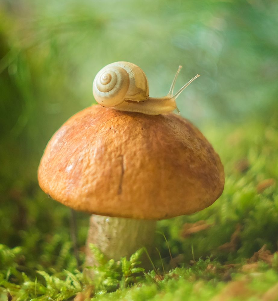 Photograph by Виктория Мамаева