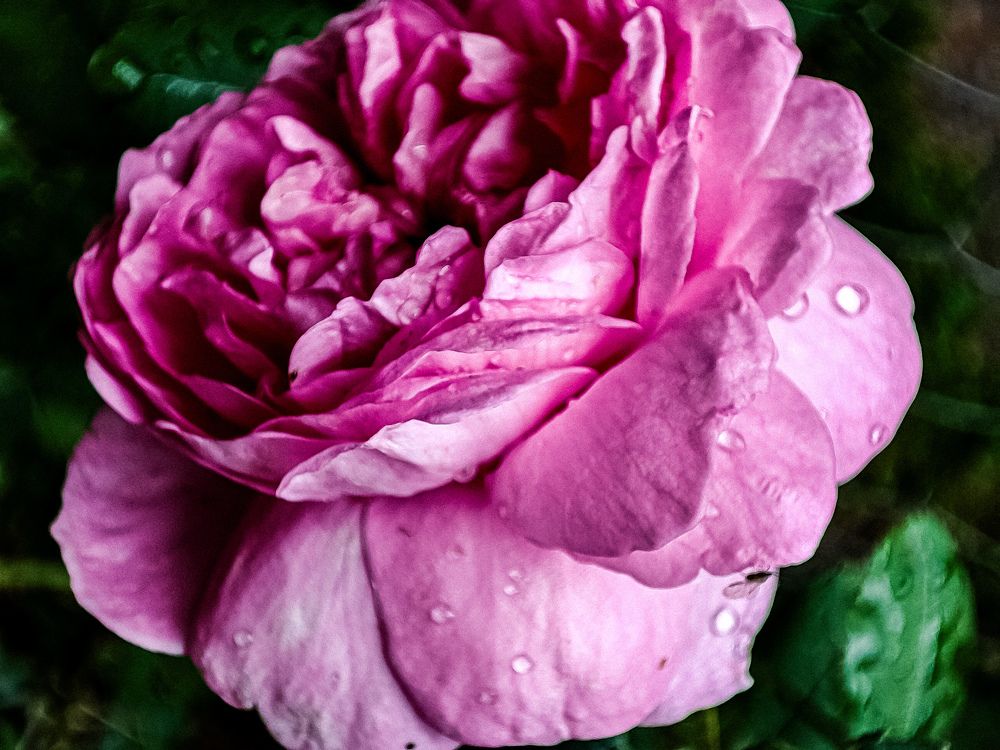 Фотография автора Нина Зинченко