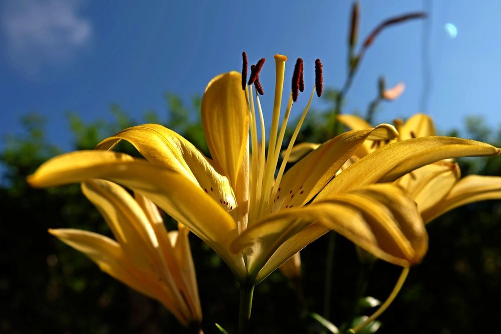 Photograph by Галина Искандарова