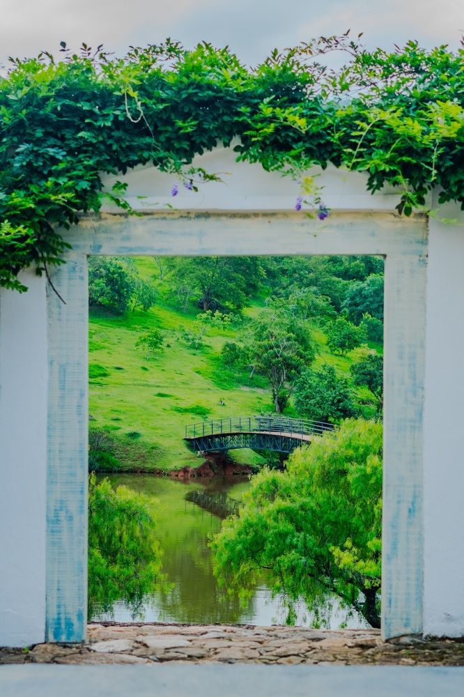 Фотография автора Antonio Etevaldo Rodrigues Junior