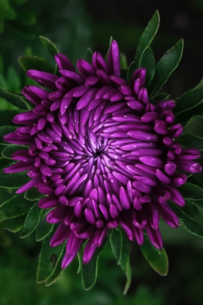 Photograph by Анастасия Филатова