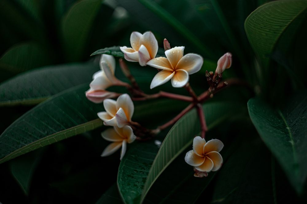 Photograph by AZAT_A.J.PHOTOS