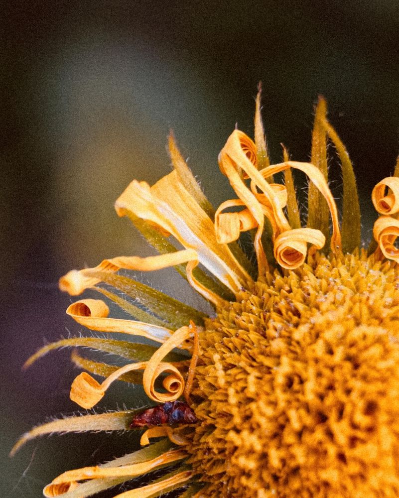 Photograph by Евстратова Оксана