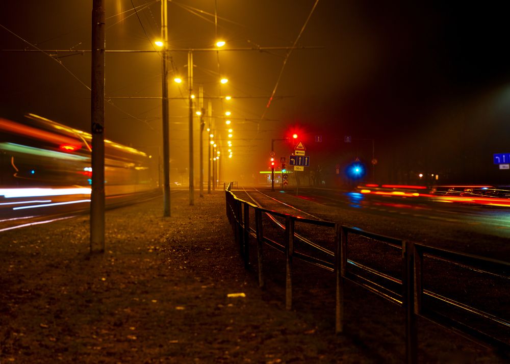 Photograph by Nikita