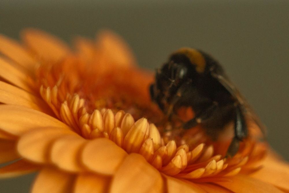 Photograph by Татьяна Черналецкая