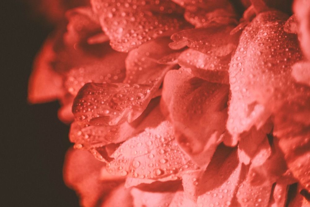 Photograph by Татьяна Черналецкая