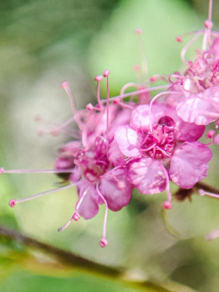 Фотография автора Нина Зинченко