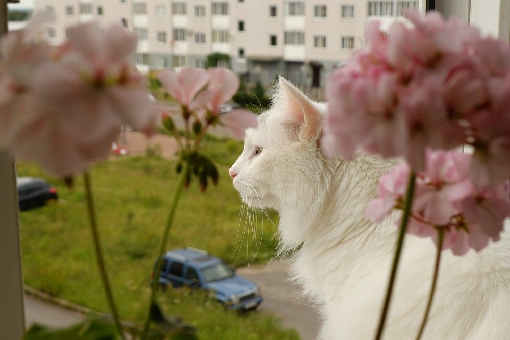 Photograph by Лариса Андреева