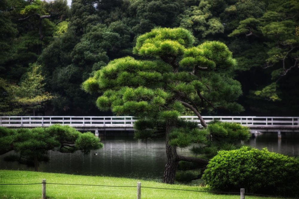 Photograph by Елена Хорошильцева