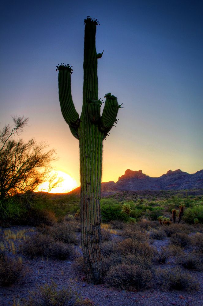 Photograph by Dan Stone