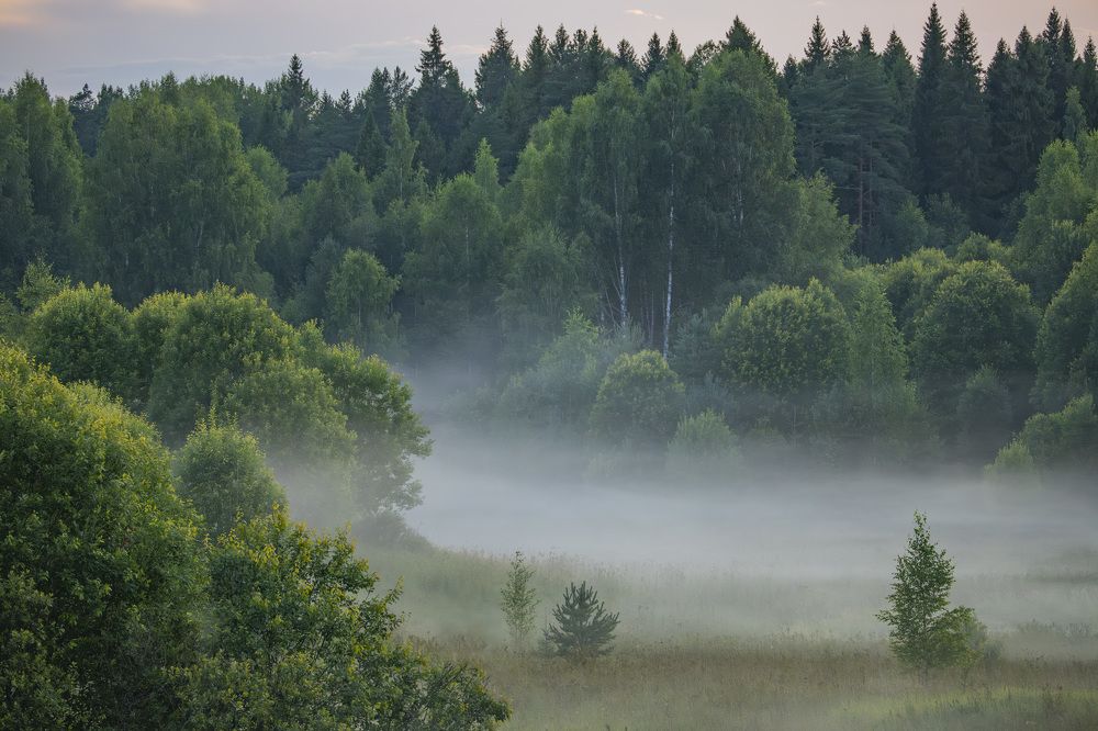 Photograph by Максим Григорьев