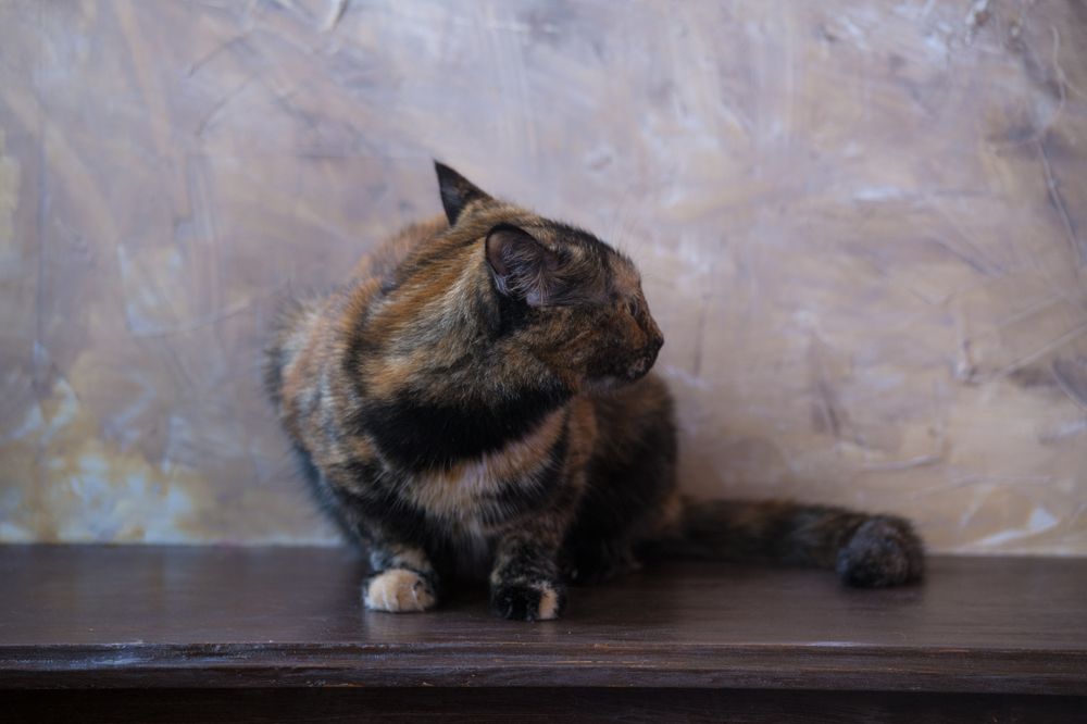 Photograph by Сергей Алексеев