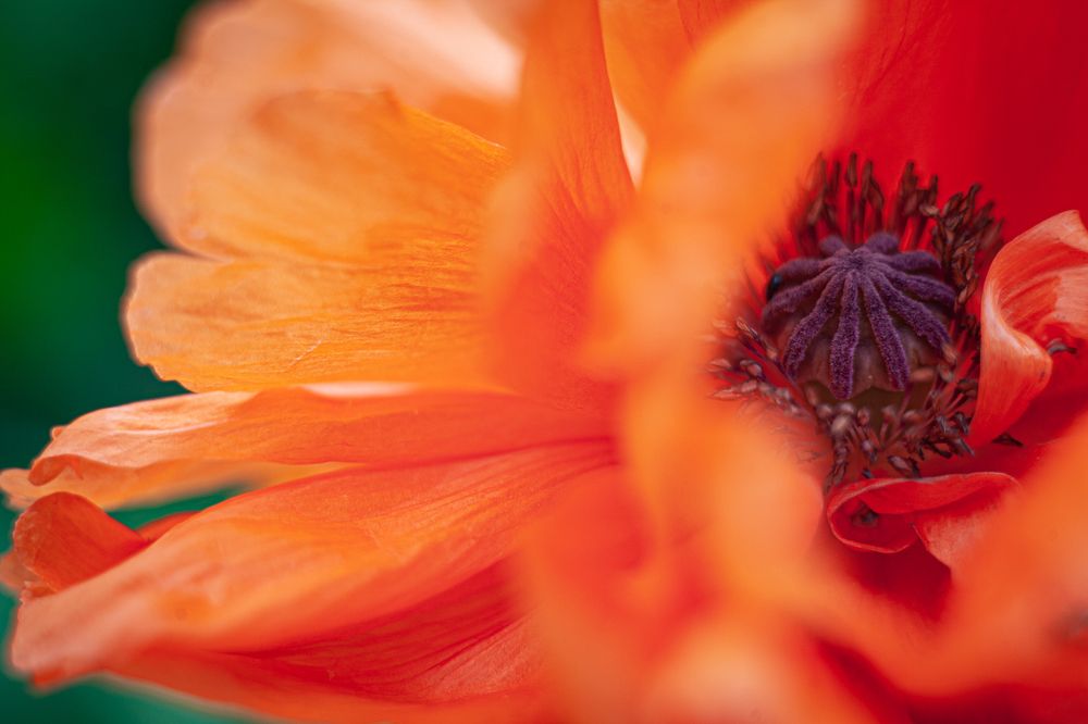 Photograph by Олег Ибрагимов