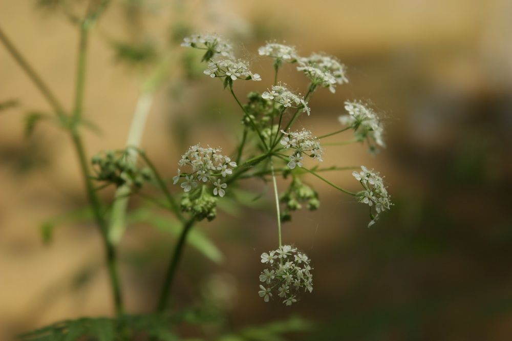 Photograph by Вячеслав Атаманов