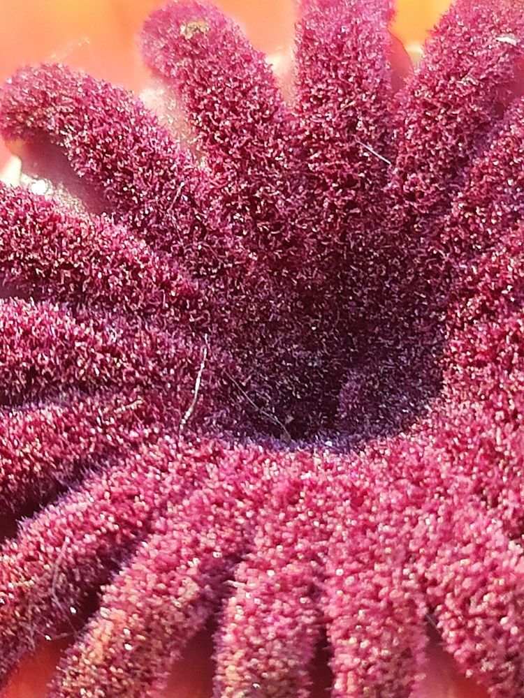 Photograph by Дарья