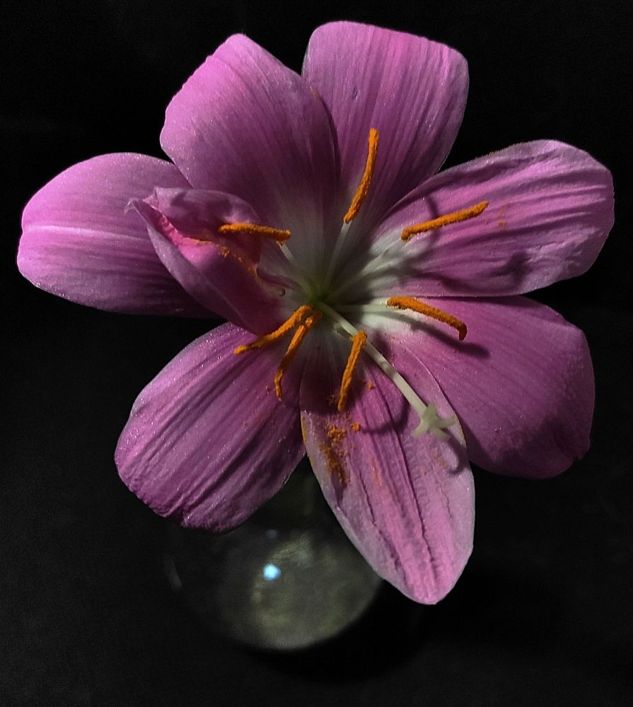 Photograph by Дарья